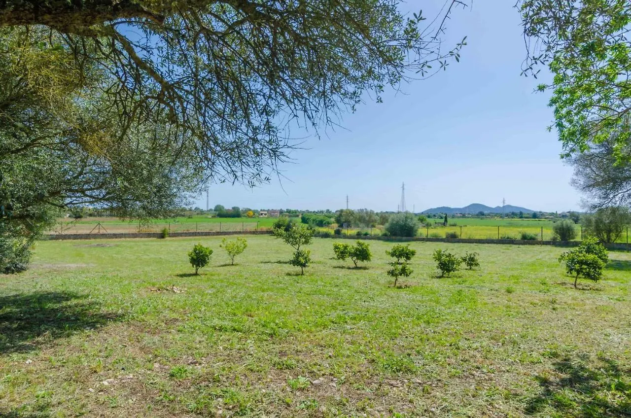 Cas Padri Des Caparo Villa Manacor   Manacor (Mallorca)